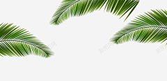 奏9采集到纹理