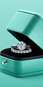 The Tiffany® Setting and Tiffany Embrace® rings in platinum.