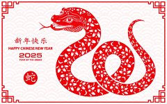 胖发达采集到社
