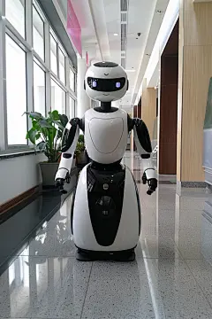 AI智能机器人研制