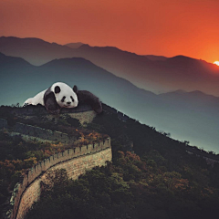 陶梦珍采集到蒸汽波