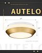 Amazon.com: AUTELO