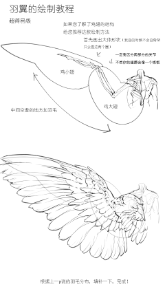 轩妙思视觉设计采集到插画绘画分解参考