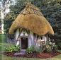 thatched roof - I want to live in a house with one.  maybe just a tad bit larger than this one!