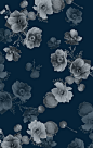 Banquet Florals : Dark, pencil rendered floral for F/W inspired by classic Dutch paintings. Created to utilize the benefits of digital printing.