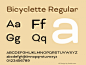 英文内容字体衬线体Bicyclette Regular Version 1.000;PS 001.001;hotconv 1.0.56样张图片