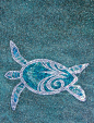 pictures of turtle mosiac in pool | home > other >turtles in the pool ... Latest Project: 