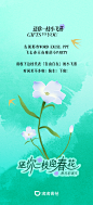 青桔花花车