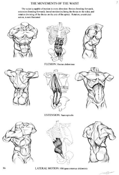 黑夜中的芒曜采集到muscle