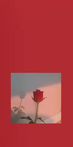 @你看那是岸_朱夫人（由于壁纸有一部分自制，所以转壁纸请加关注注明出处，蟹蟹）平铺，可爱，女王范，黑色，黑白，白色，锁屏，ins风，潮，御姐，动漫，卡通，风景，古风，流行，欧美，情侣壁纸