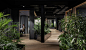 Slack澳大利亚平和自然氛围的开放式办公空间设计