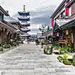 过去,建筑,无锡,公园,绿色,水平画幅,旅行者,户外,植物,屋顶