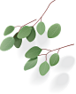 比格素材-夏日3D植物光影矢量背景图 (21) [转换]-02
