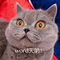 来自分享
