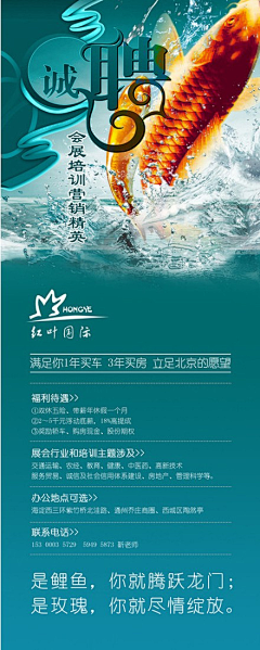 呆丶宅窝-采集到X展架