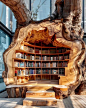 把树洞搬进图书馆，好治愈。