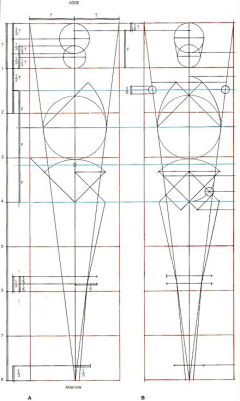 卡片H采集到绘画— 人体结构