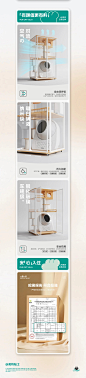 猫屋3