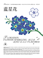 FLORAISON 花信 ｜ 花香气泡酒设计 on Behance