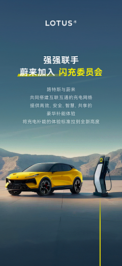 栾然采集到黄
