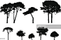 Ocho siluetas de árbol : Arte vectorial