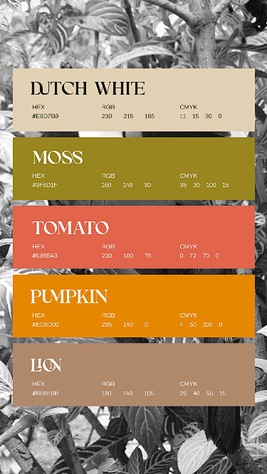 Color Palettes -  采集...