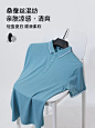 【第2件0元】名盾polo衫男短袖夏薄款桑蚕丝商务翻领t恤衫保罗衫-tmall.com天猫