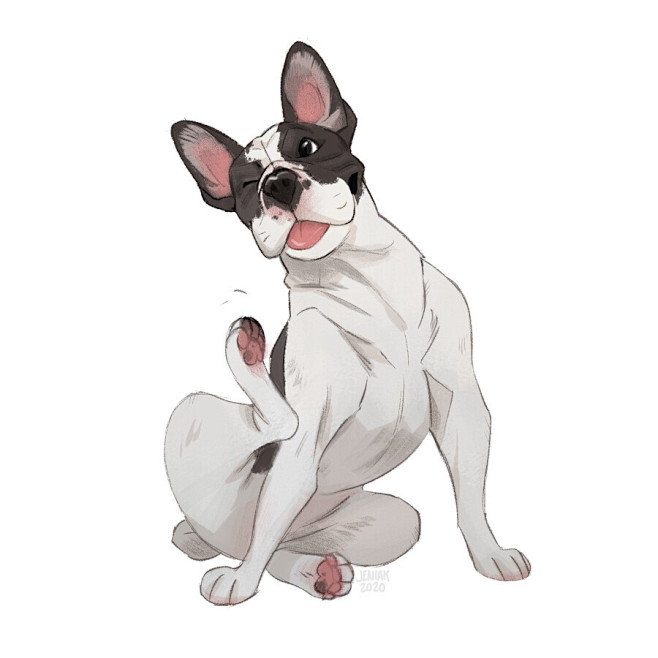 Doggust 2020 (part 1...