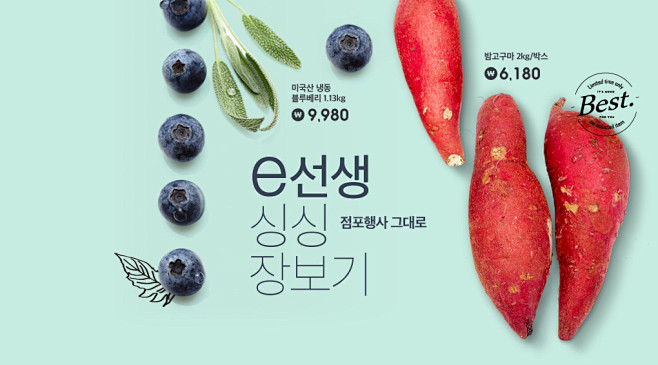 e선생 싱싱 장보기