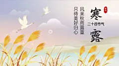 寒露节气祝福问候芦苇白鹭横版海报