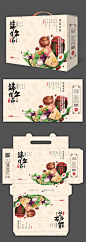 淡雅浓情端午包装设计素材