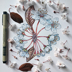 爱吃拿破伦的约瑟芬采集到插画   意境