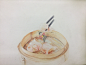 彩铅与圆珠笔结合插画