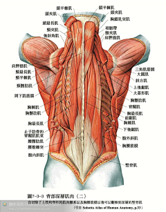 LHzDl_臭臭采集到人体