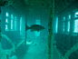Here's What Subway Cars Look Like After Years At The Bottom Of The Atlantic : These photos of our old subway cars underwater are pretty surreal.