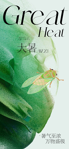 泪凝★寒星→采集到二十四节气㊣节日