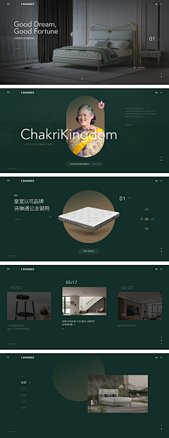 NIUBILITYMXY采集到企业网页