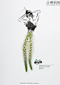 【蜂讯网】#海报设计# #平面广告# #平面设计# #服装广告# #服装海报#-------------------------------------------------------德国时尚服装创意海报设计：2014春夏系列时尚花艺