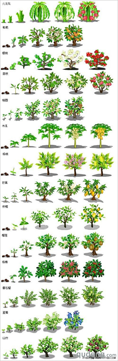 雨过丶采集到植物