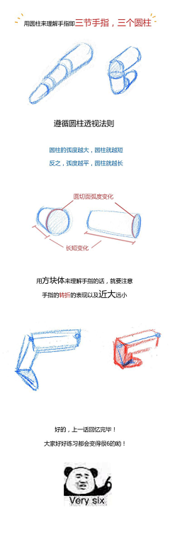 leijiexiong采集到四肢