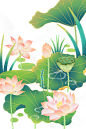 荷花5-