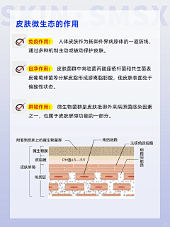 wty_loo采集到皮肤管理