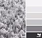 Winter Tones | Design Seeds : { winter tones } image via: @julie_audet