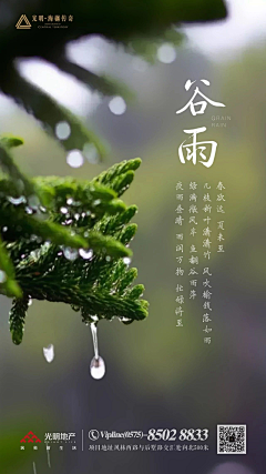 大侠iyy采集到谷雨