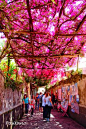Beautiful Positano Village, Italy