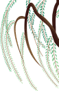 柳树