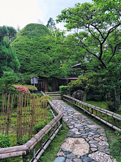 青山有院采集到L-园路