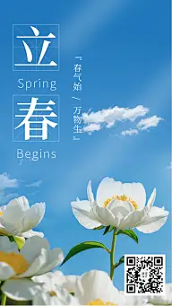 立春祝福实景花卉蓝天清新文艺