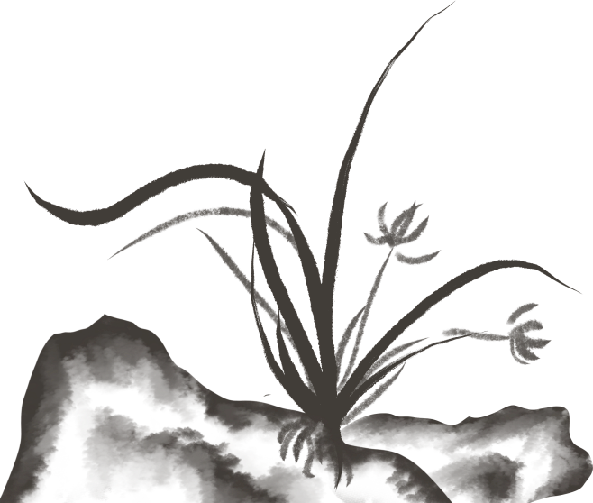 水墨国风兰花手绘图