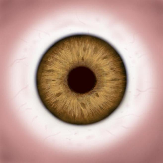 瞳孔眼球贴图参考
